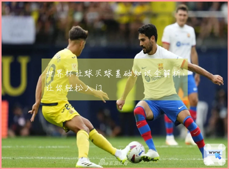 世界杯让球买球基础知识全解析，让你轻松入门