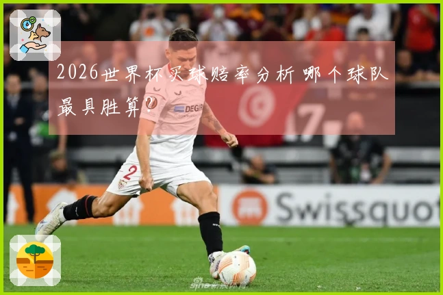 2026世界杯买球赔率分析 哪个球队最具胜算？